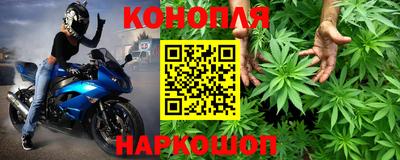 прущие грибы Гусев
