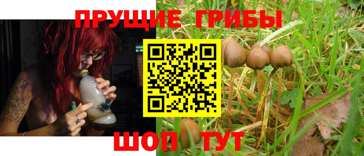 Галлюциногенные грибы ЛСД  закладки  Копейск  Вход с VPN 